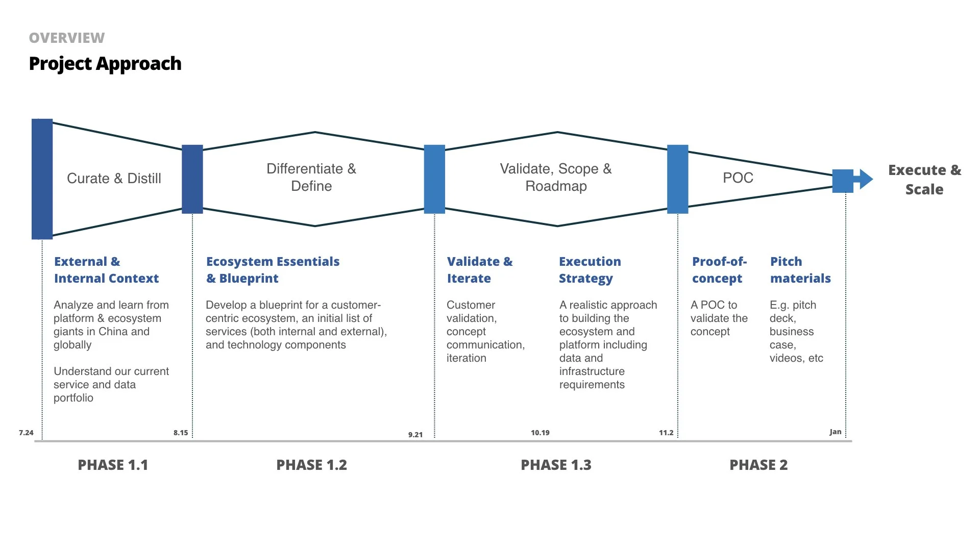 Project approach for service ecosystem planning